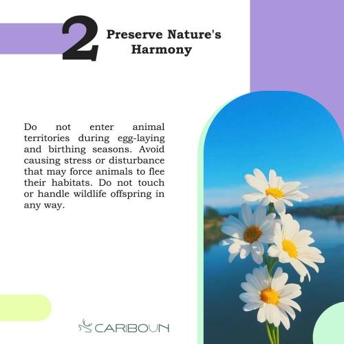 Preserve Nature's Harmony