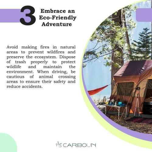 Embrace an Eco-Friendly Adventure